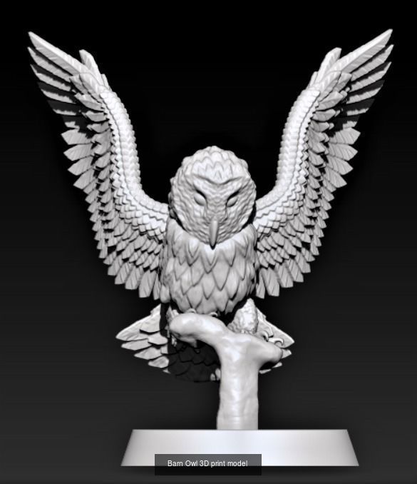 Owls birds 3D Model Collection_3