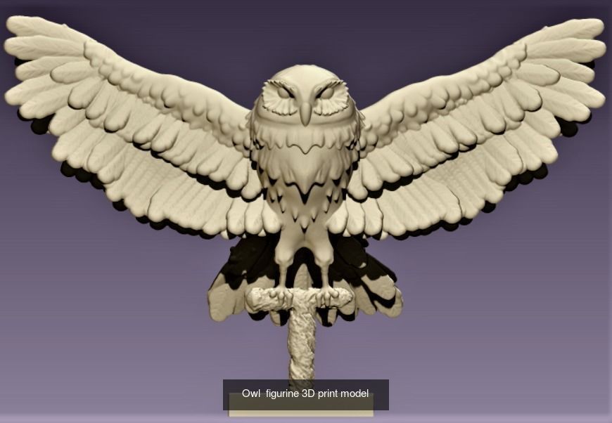 Owls birds 3D Model Collection_2
