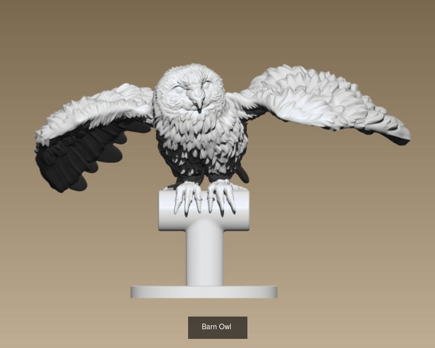 Owls birds 3D Model Collection_5