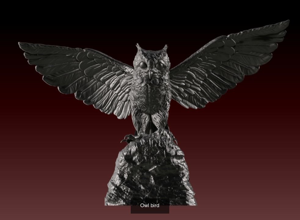Owls birds 3D Model Collection_10