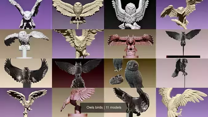 Owls birds 3D Model Collection