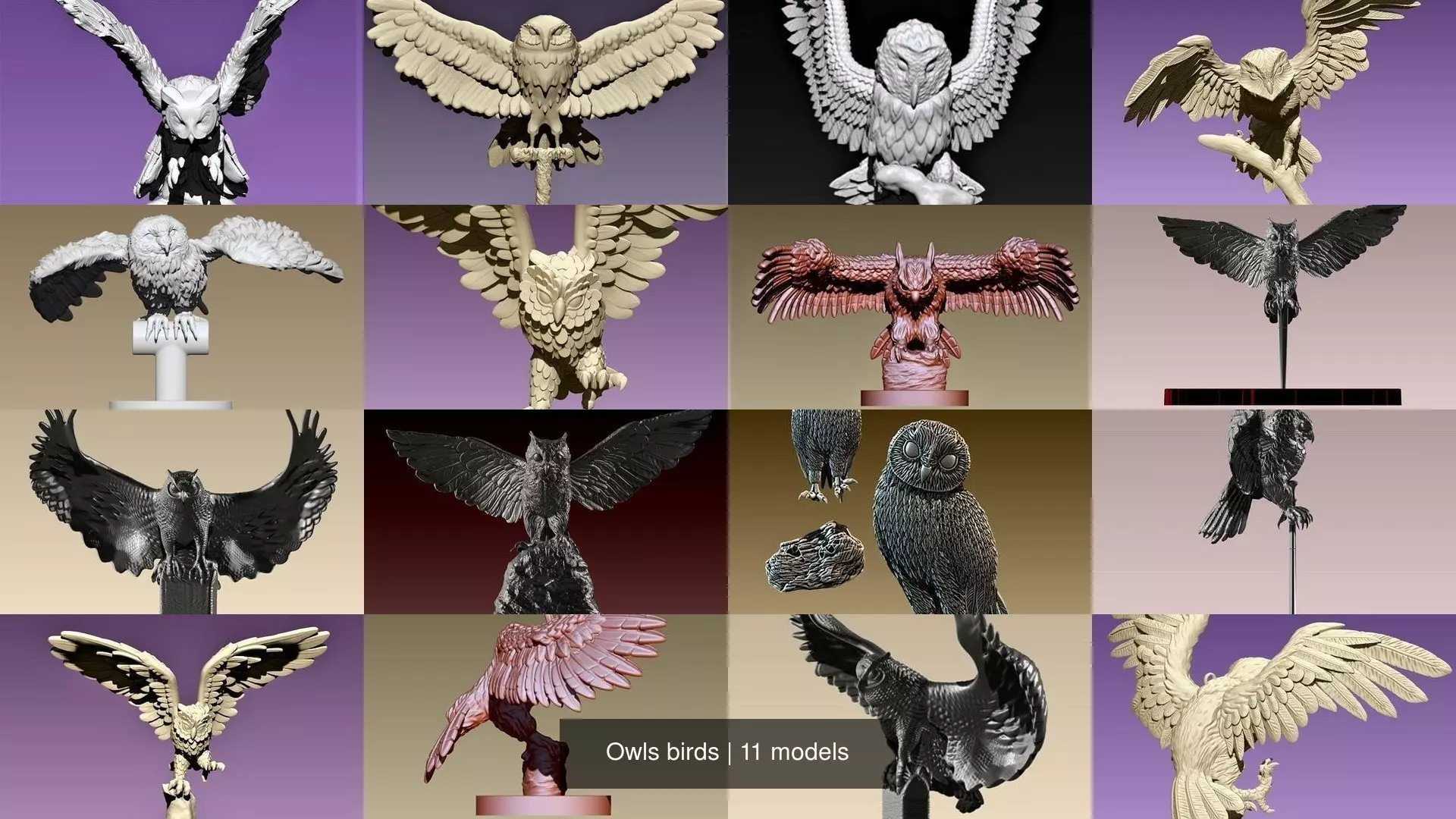 Owls birds 3D Model Collection_0