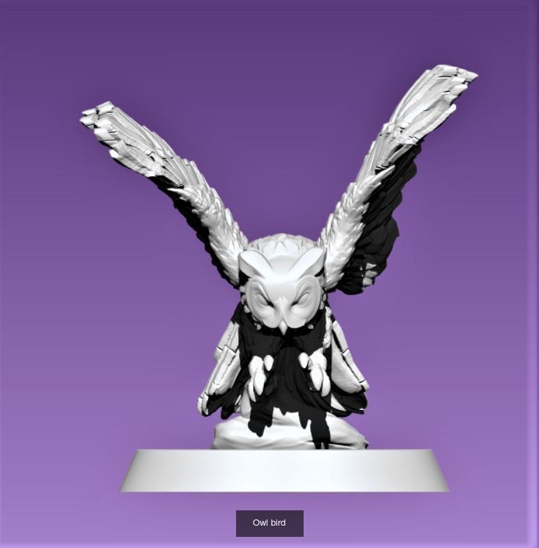 Owls birds 3D Model Collection_1