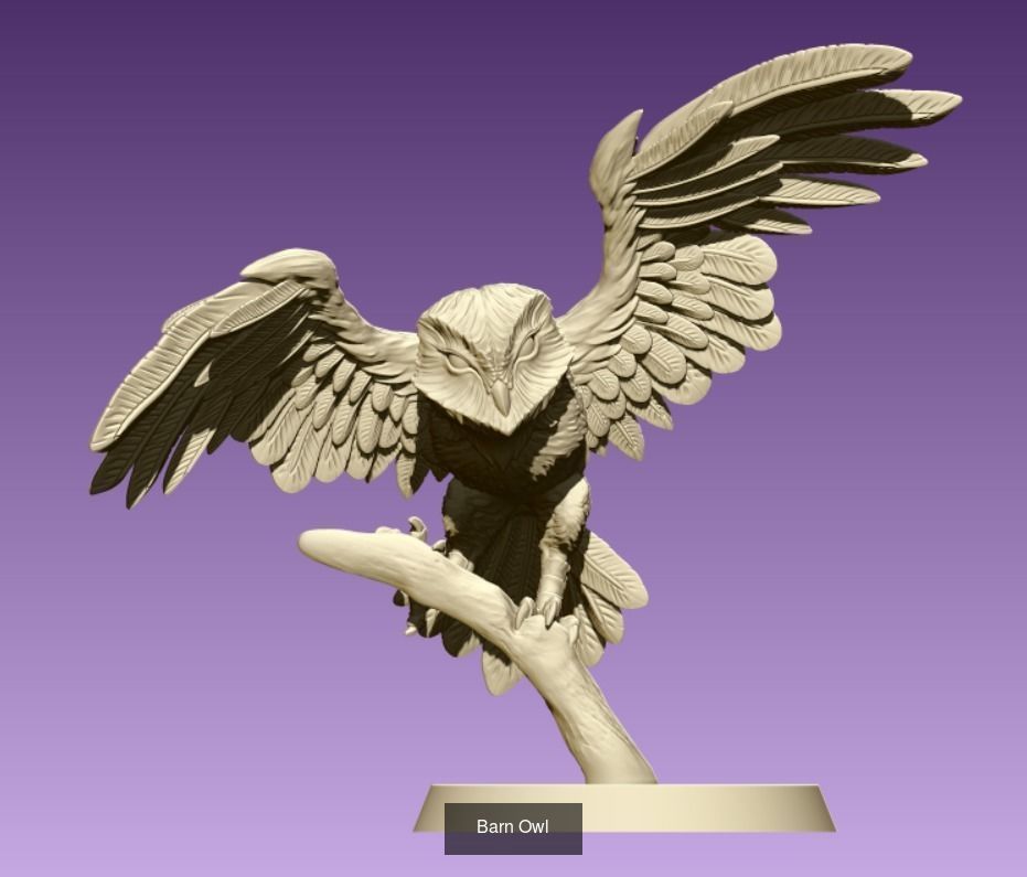 Owls birds 3D Model Collection_4