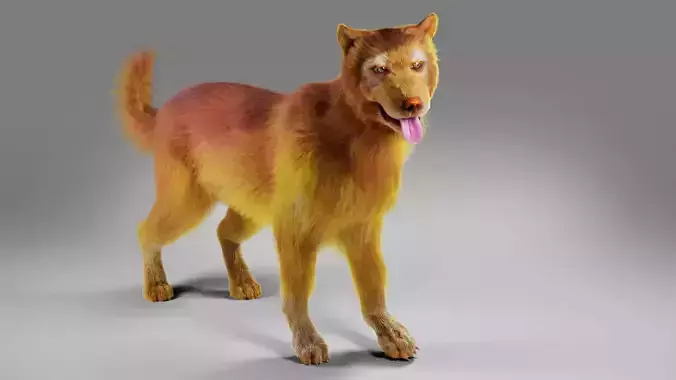 Fur Red Dog Rigged in Blender 
