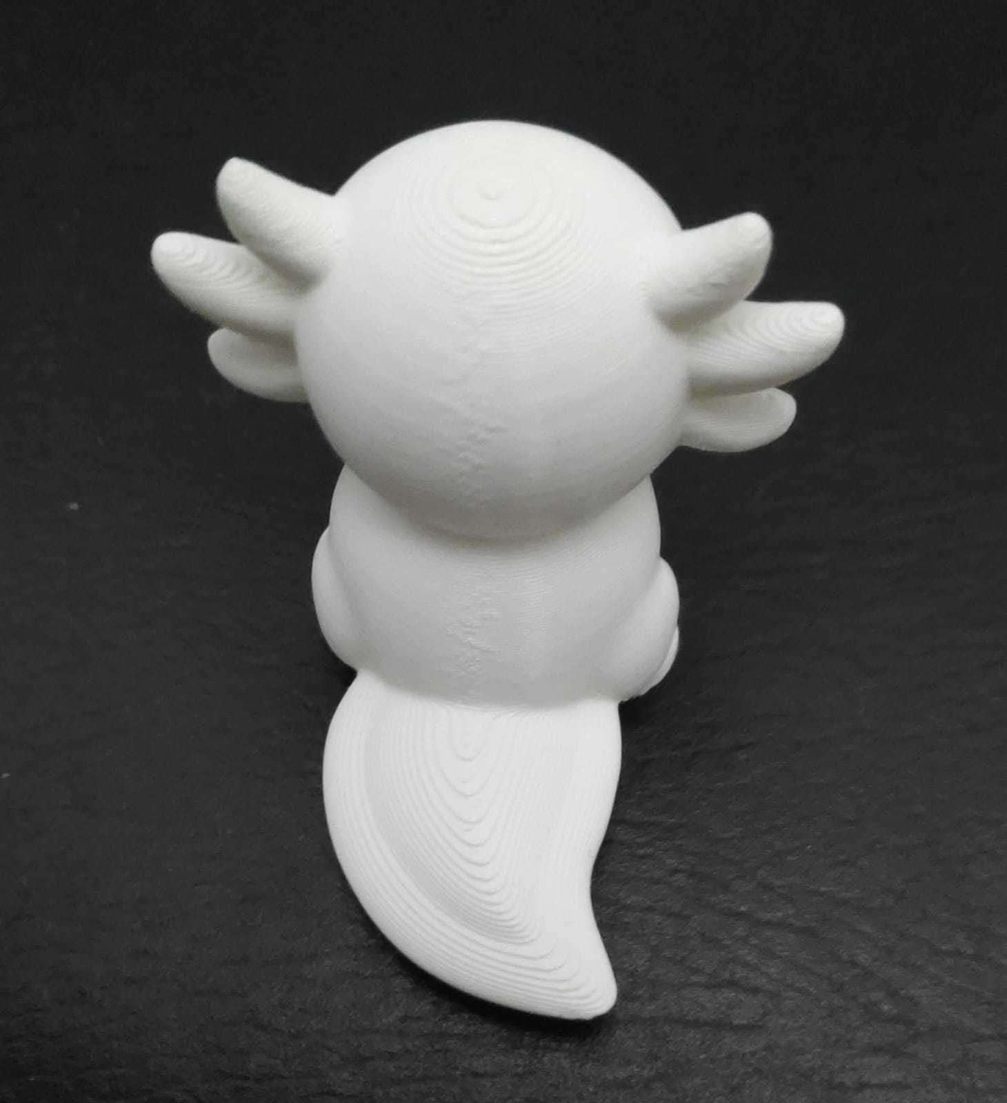 Axolotl with Tie 3D print model_13