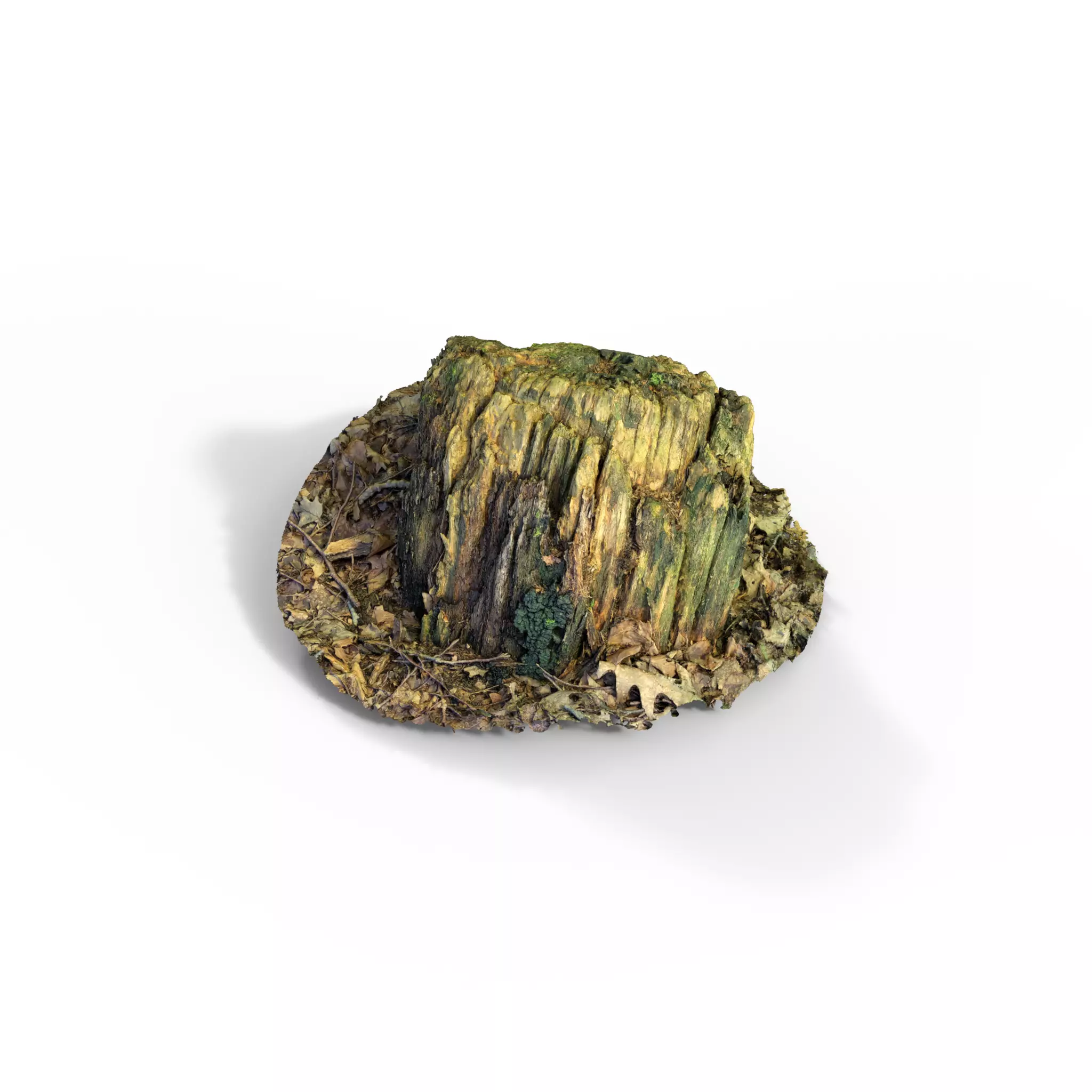 Forest Tree Stump 4K -Part 4- Free low-poly 3D model