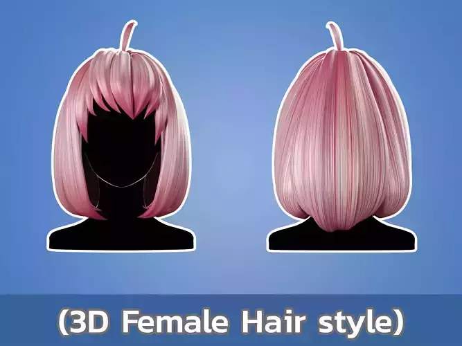 3D Hair Female 001