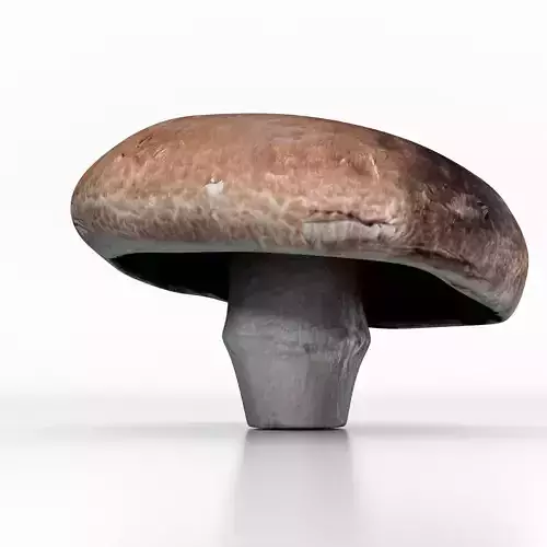 Portabello Mushroom