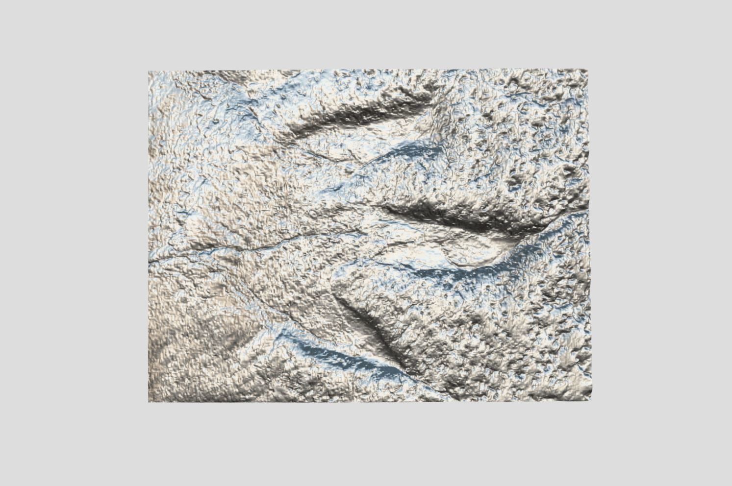Tyrannosaurus Rex Footprint - fossil-dinosaur-3D Printing 3D model_6