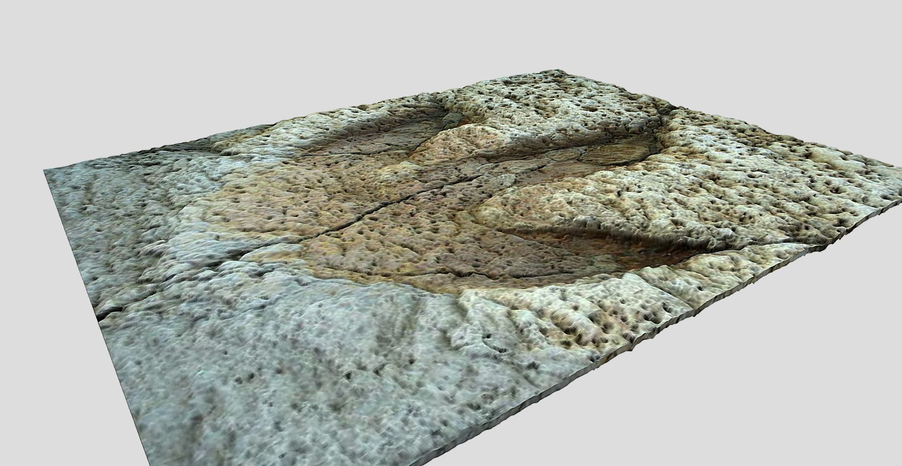 Tyrannosaurus Rex Footprint - fossil-dinosaur-3D Printing 3D model_2
