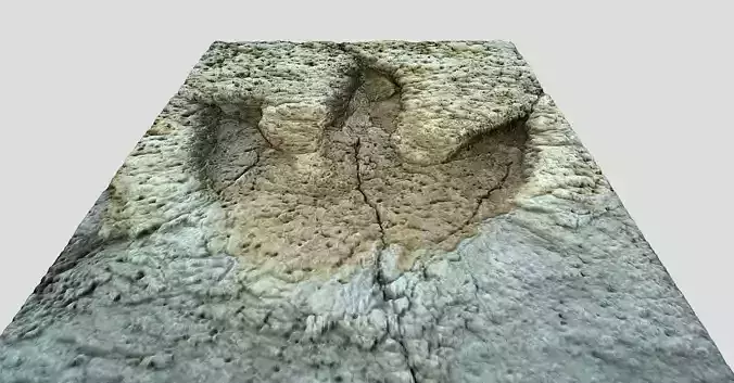 Tyrannosaurus Rex Footprint - fossil-dinosaur-3D Printing