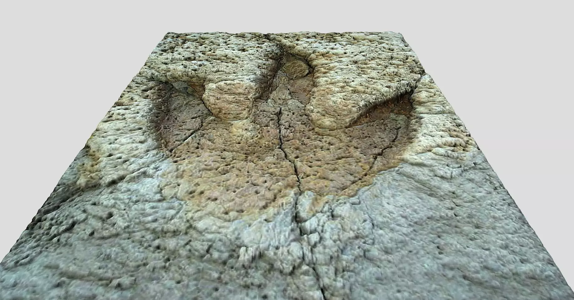 Tyrannosaurus Rex Footprint - fossil-dinosaur-3D Printing 3D model_0