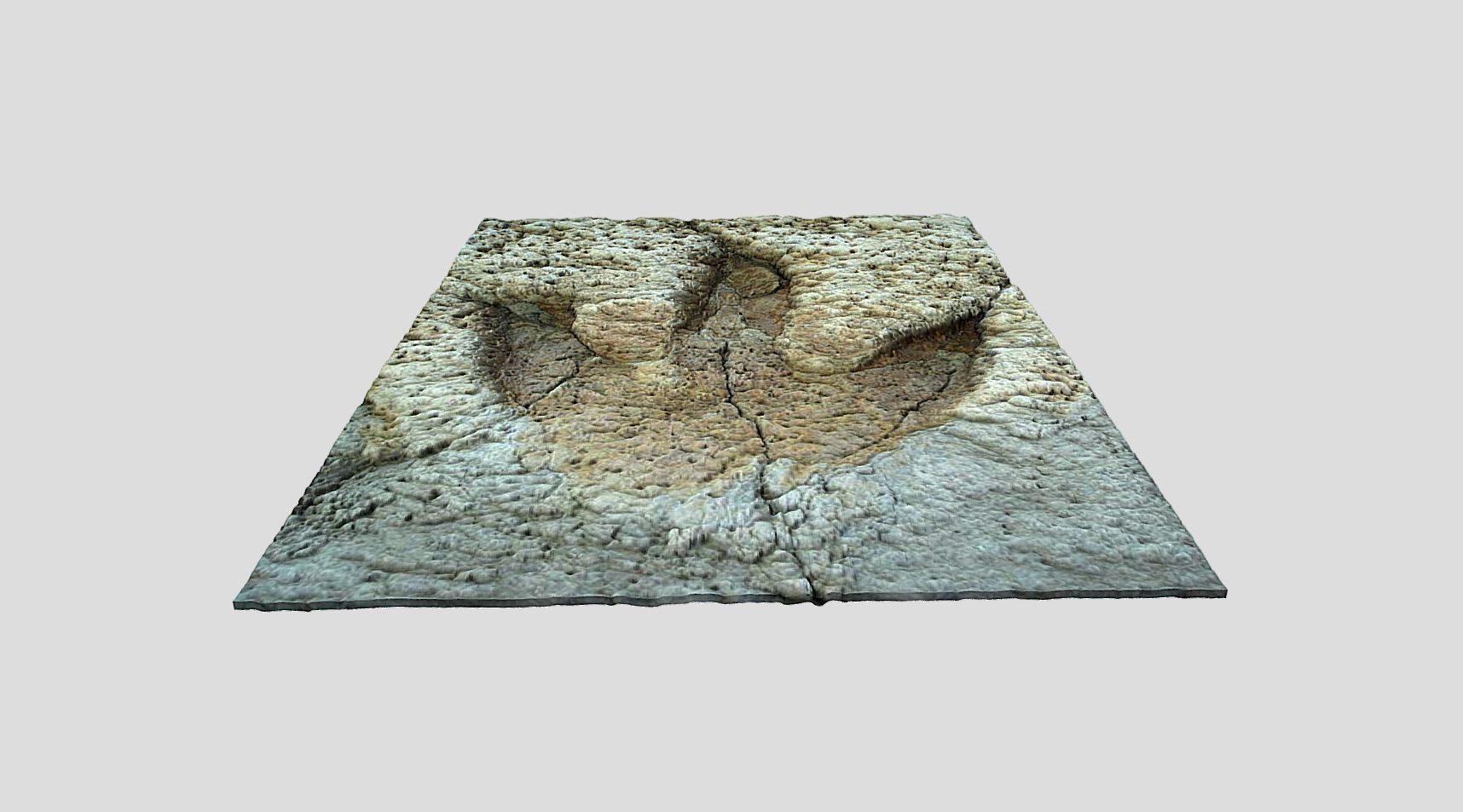 Tyrannosaurus Rex Footprint - fossil-dinosaur-3D Printing 3D model_1