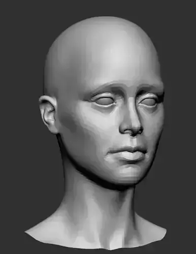 Female Head Base Mesh
