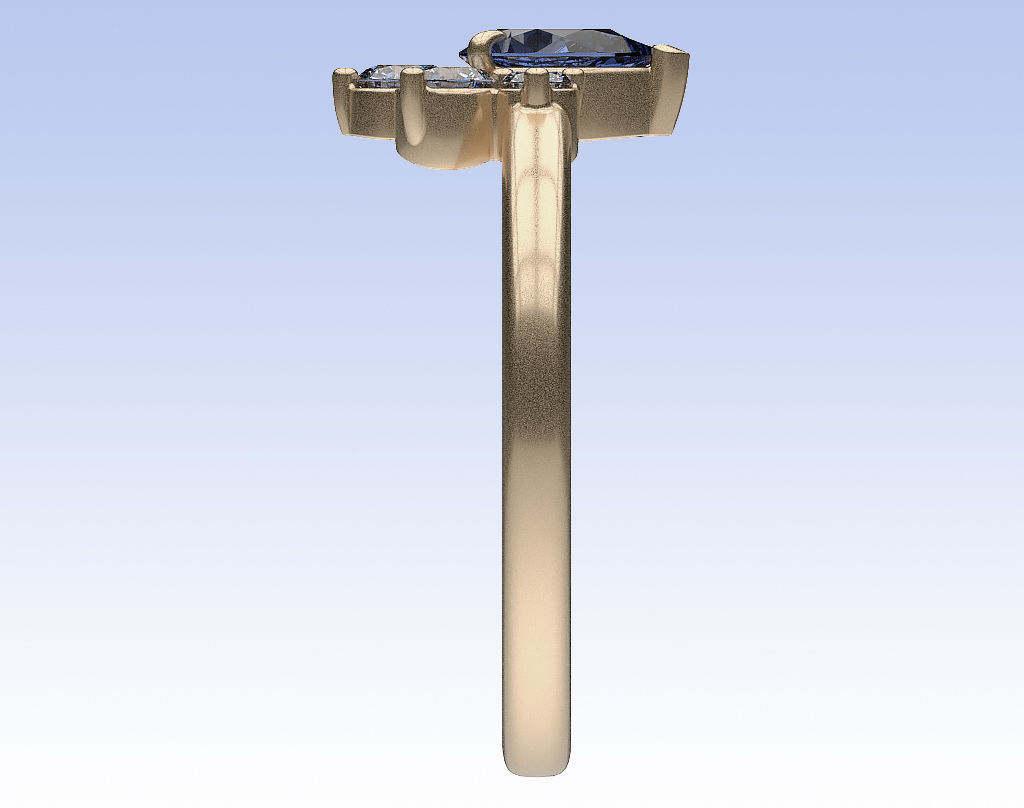 Ring Pear Half Halo 3D print model_6