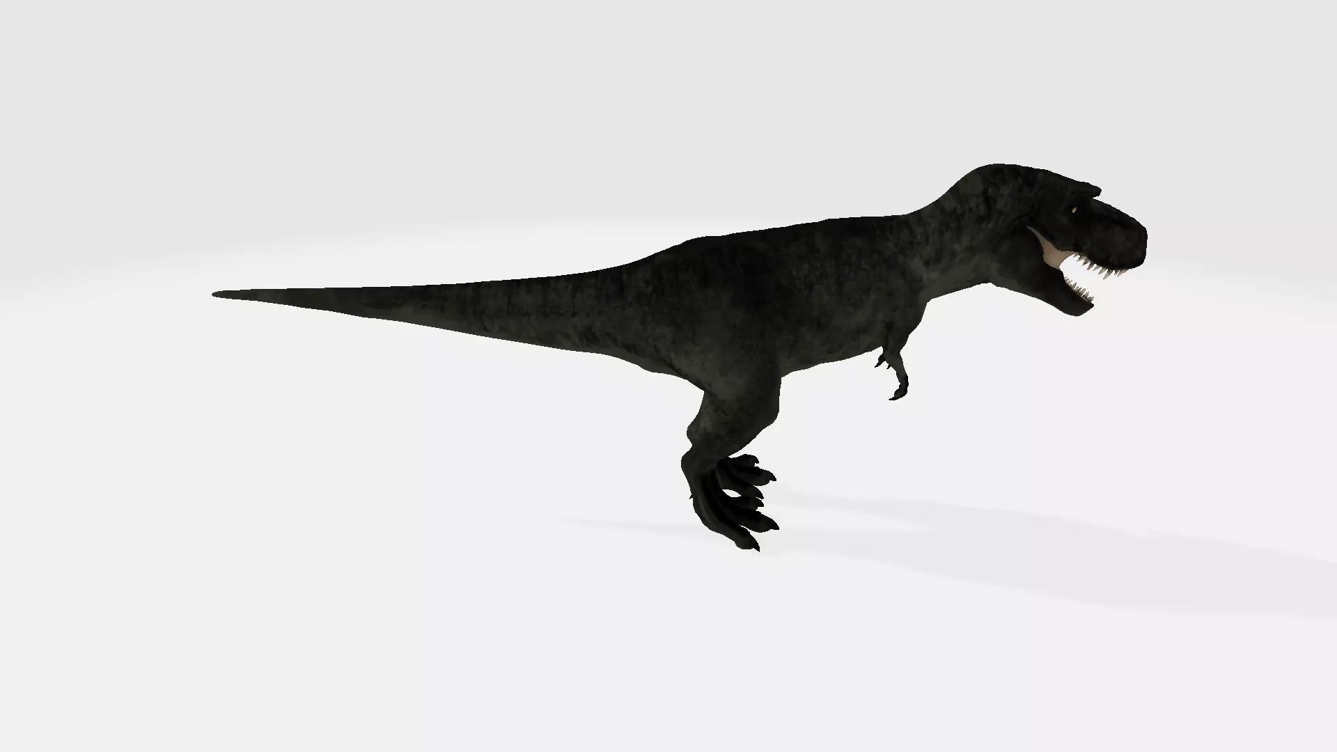 Gorgosaurus t-rex dinosaur 3D model