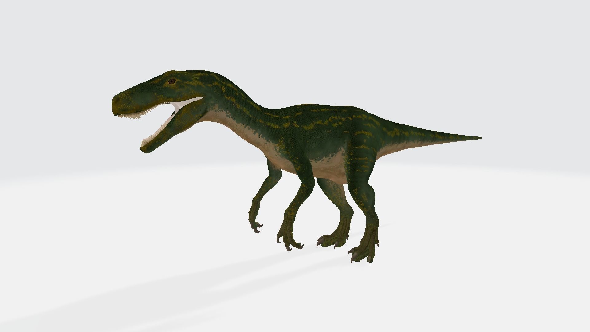 Herrerasaurus dinosaur 3D model_1