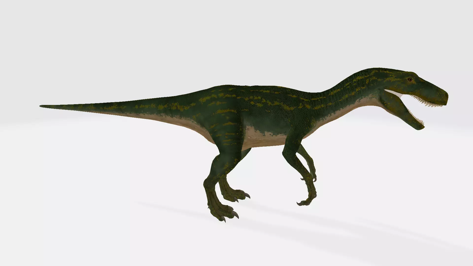 Herrerasaurus dinosaur 3D model_0
