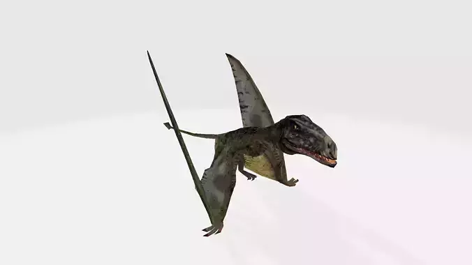 Dimorphodon dinosaur with long tail