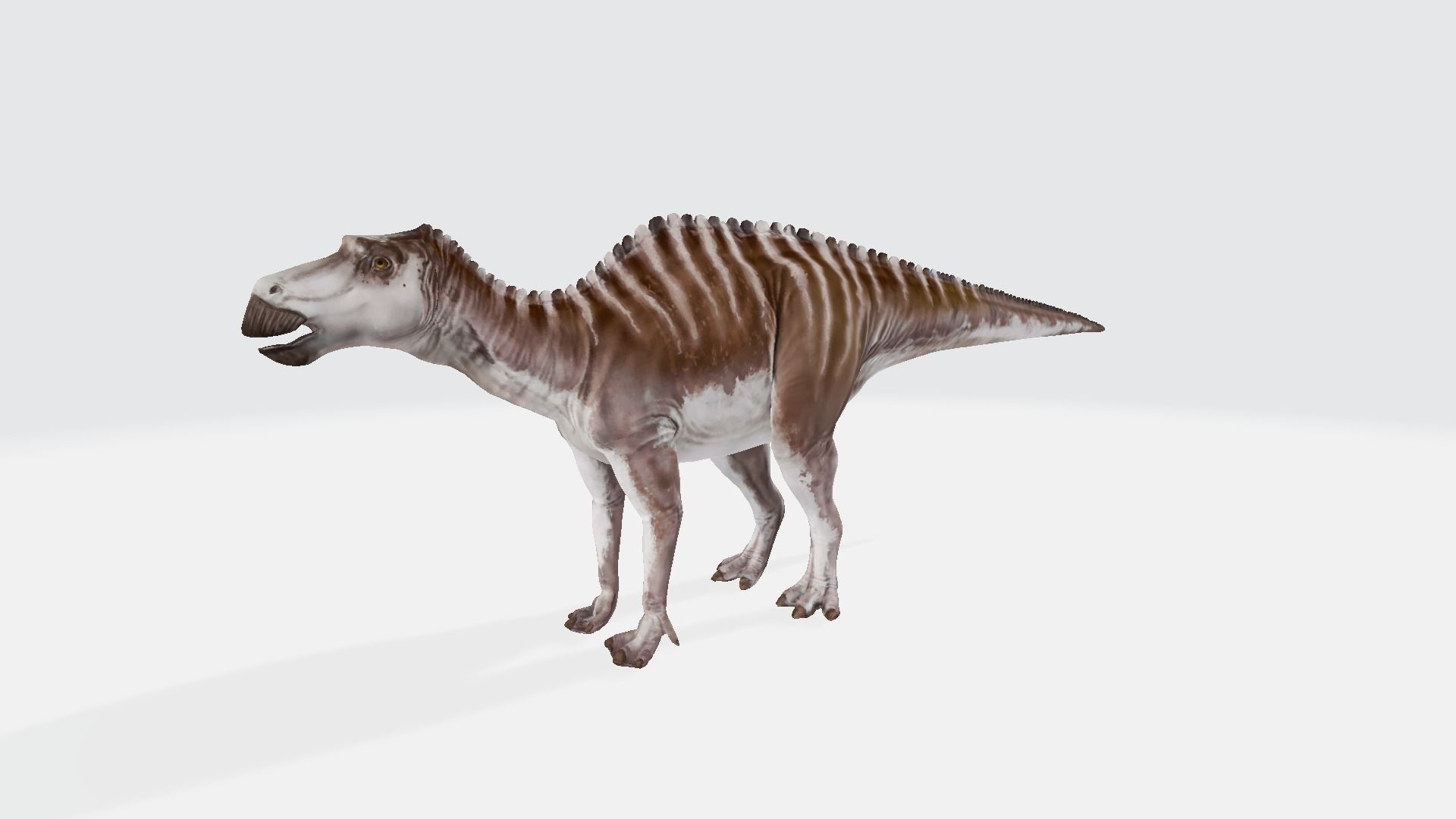 Maiasaurus dinosaur 3D model_1
