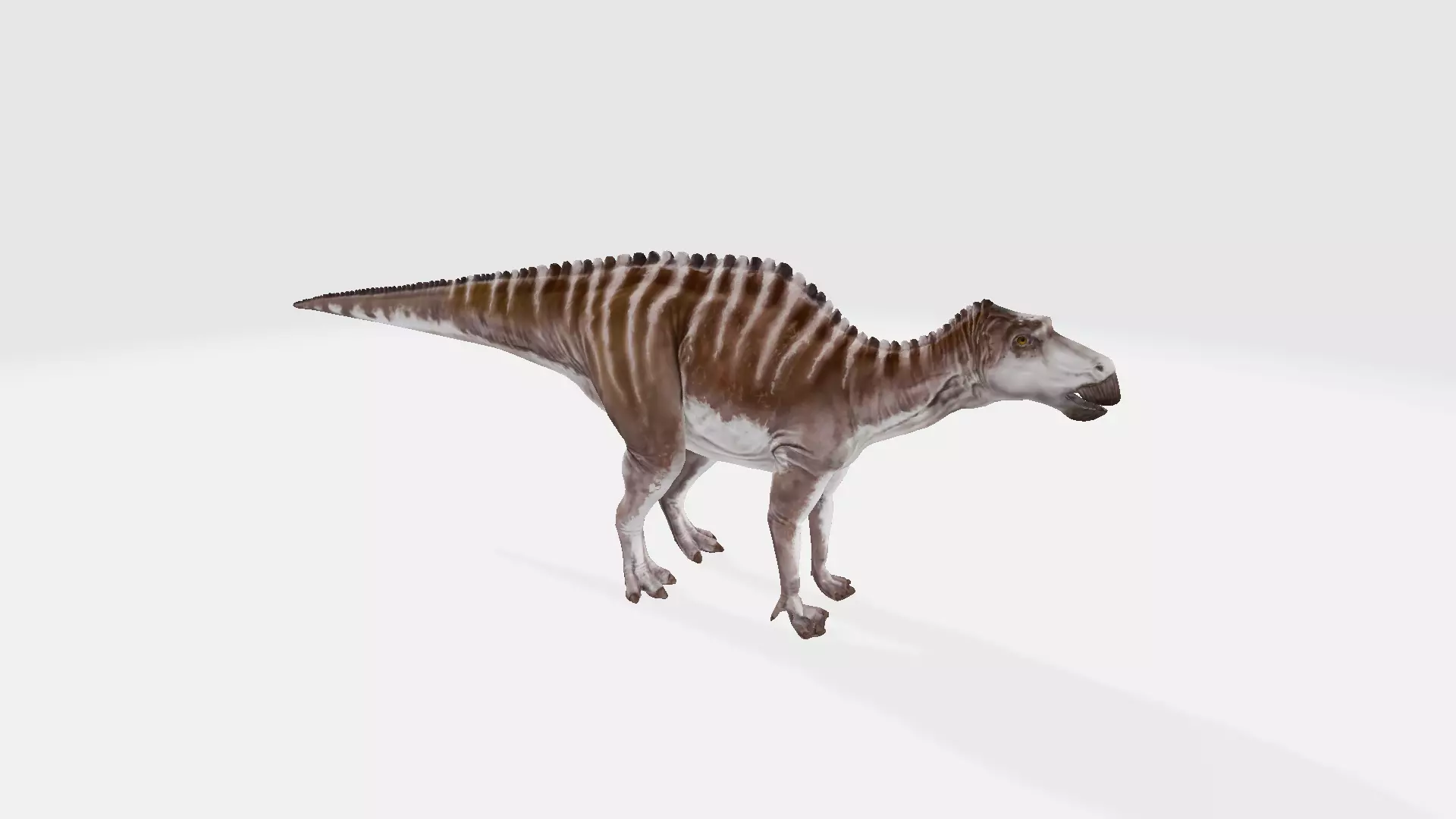 Maiasaurus dinosaur 3D model_0