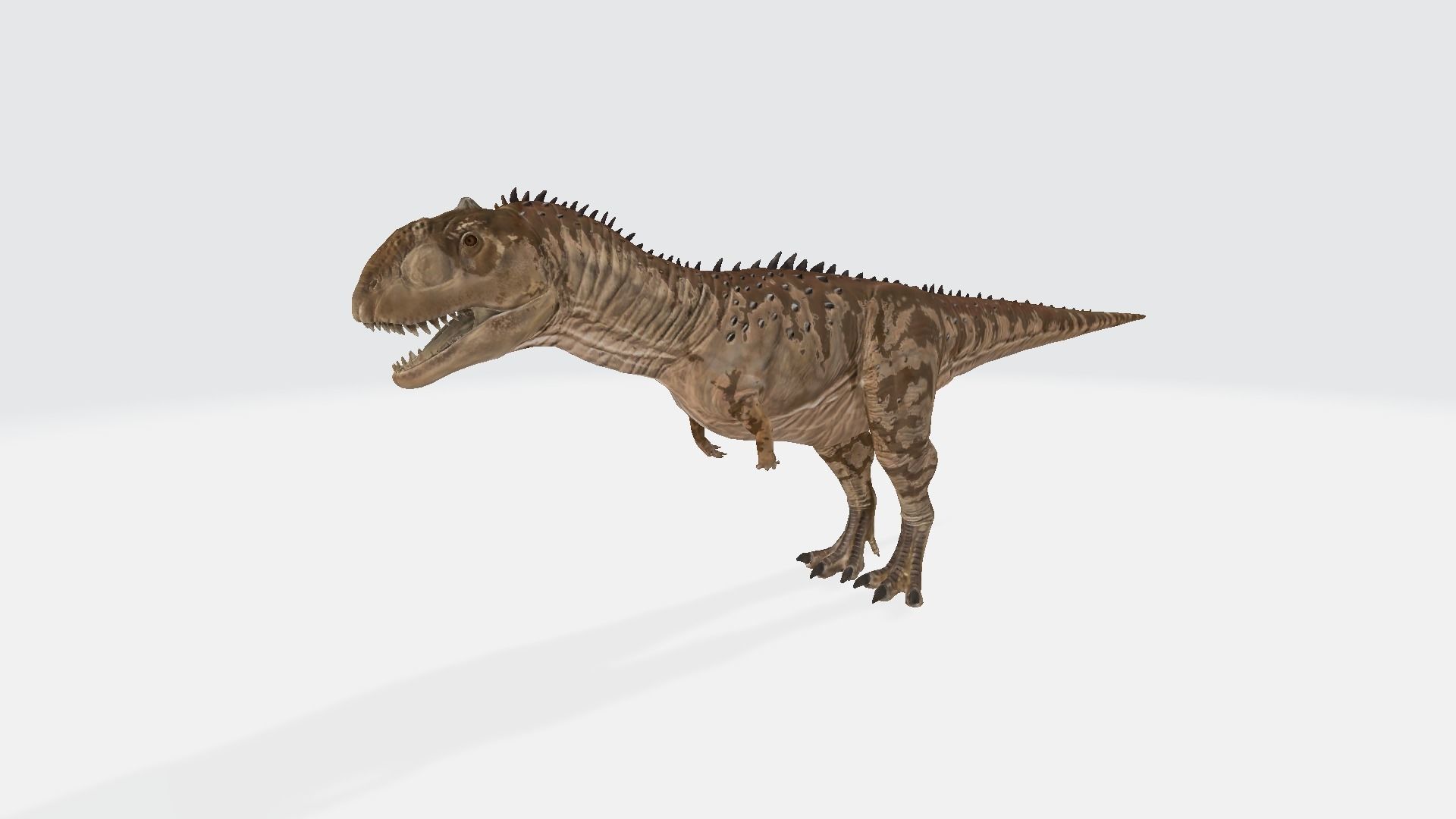 Majungasaurus tyrannosaurus dinosaur 3D model_1