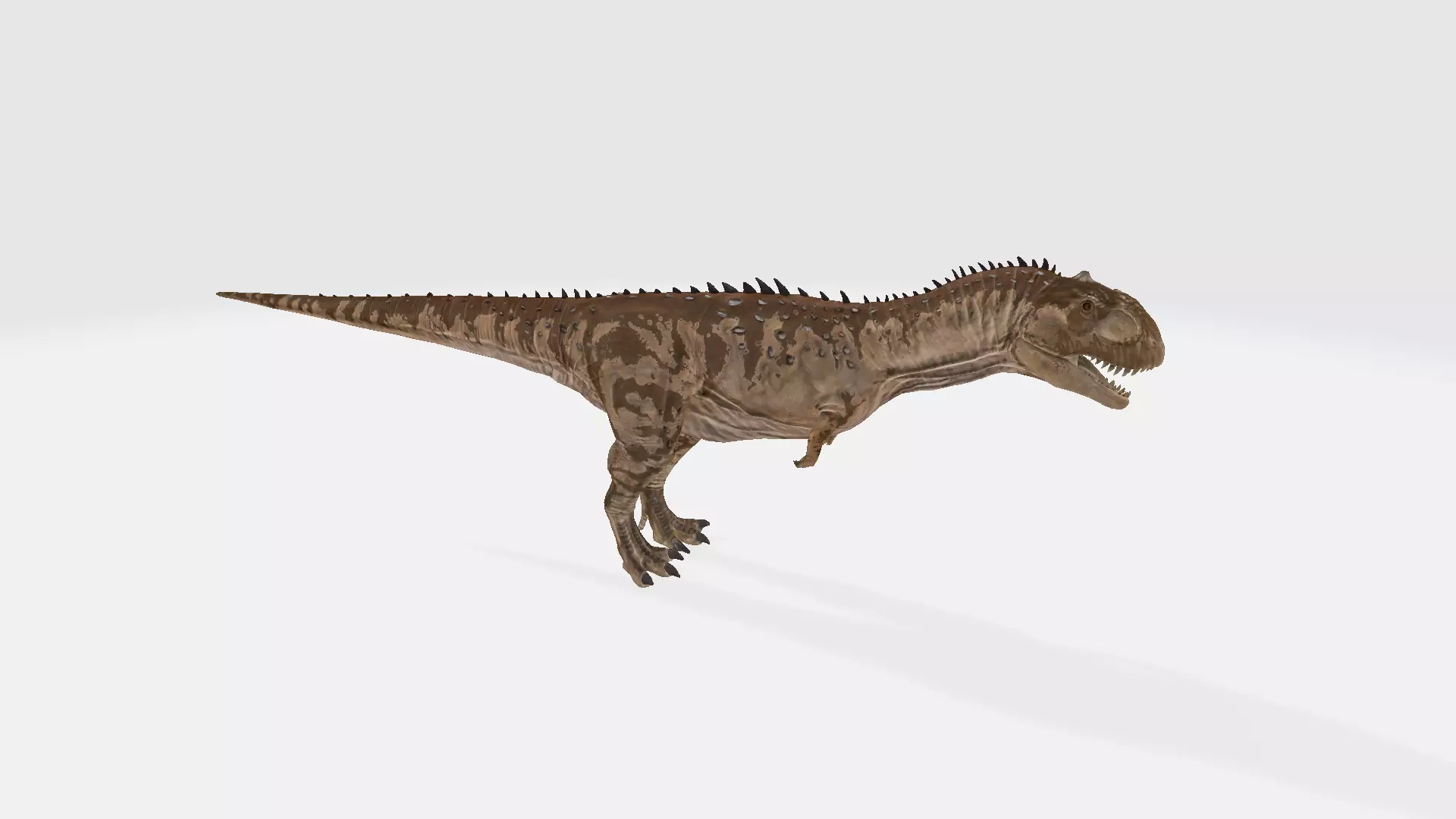 Majungasaurus tyrannosaurus dinosaur 3D model_0