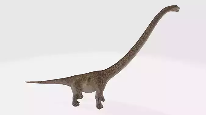 Mamenchisaurus sauropod dinosaur