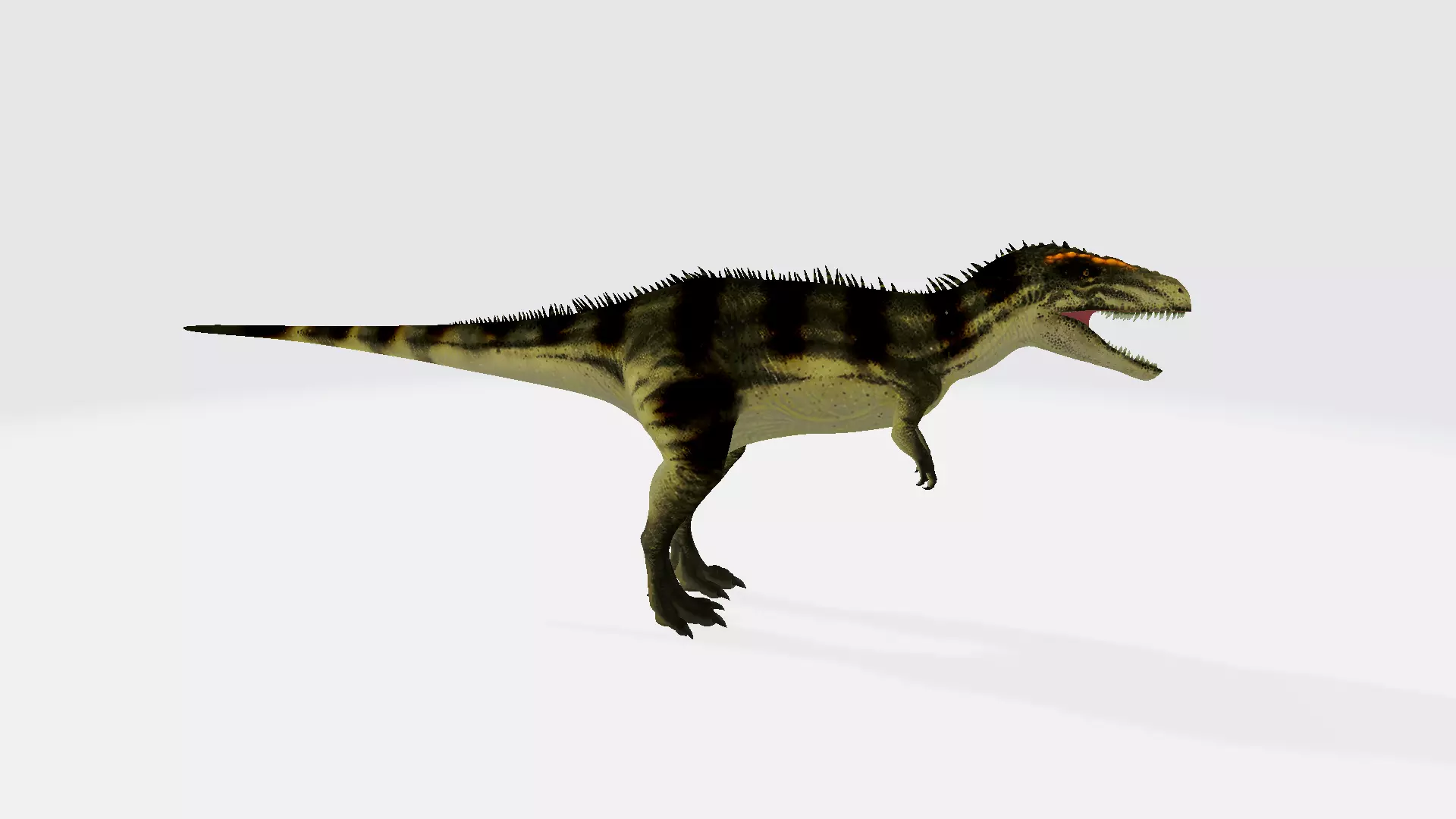 Mapusaurus dinosaur 3D model_0