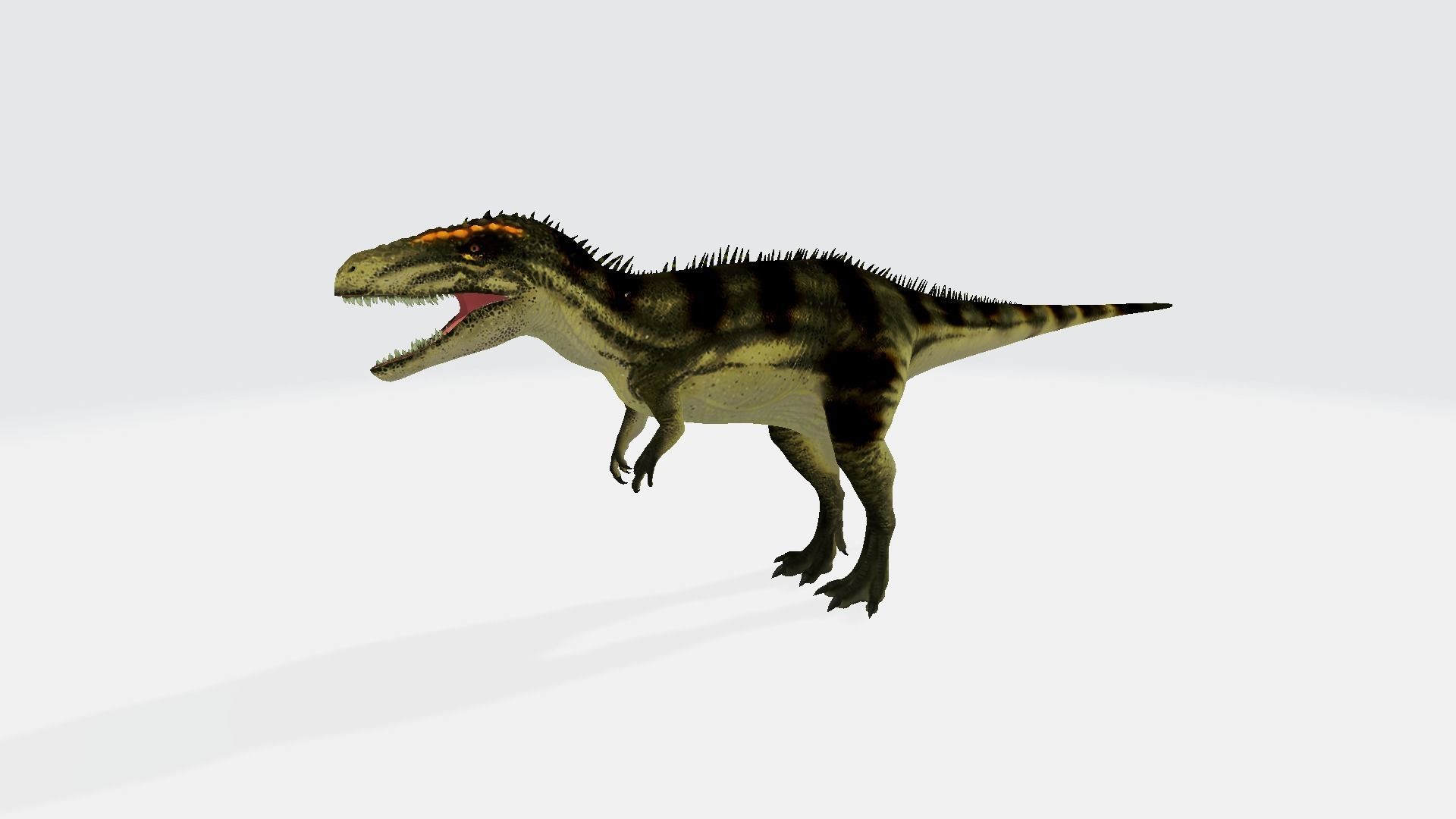 Mapusaurus dinosaur 3D model_1