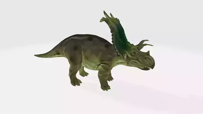 Medusaceratops dinosaur