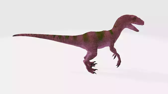 Megaraptor dinosaur