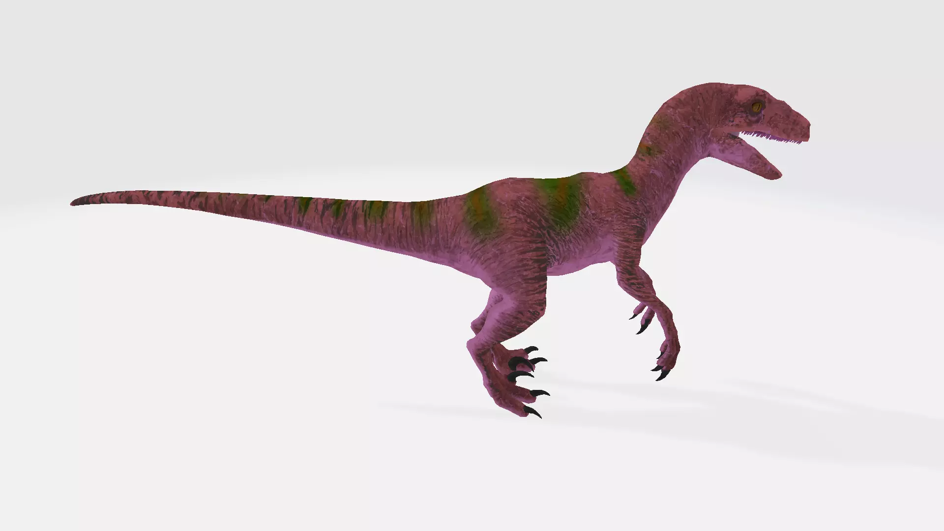 Megaraptor dinosaur 3D model_0