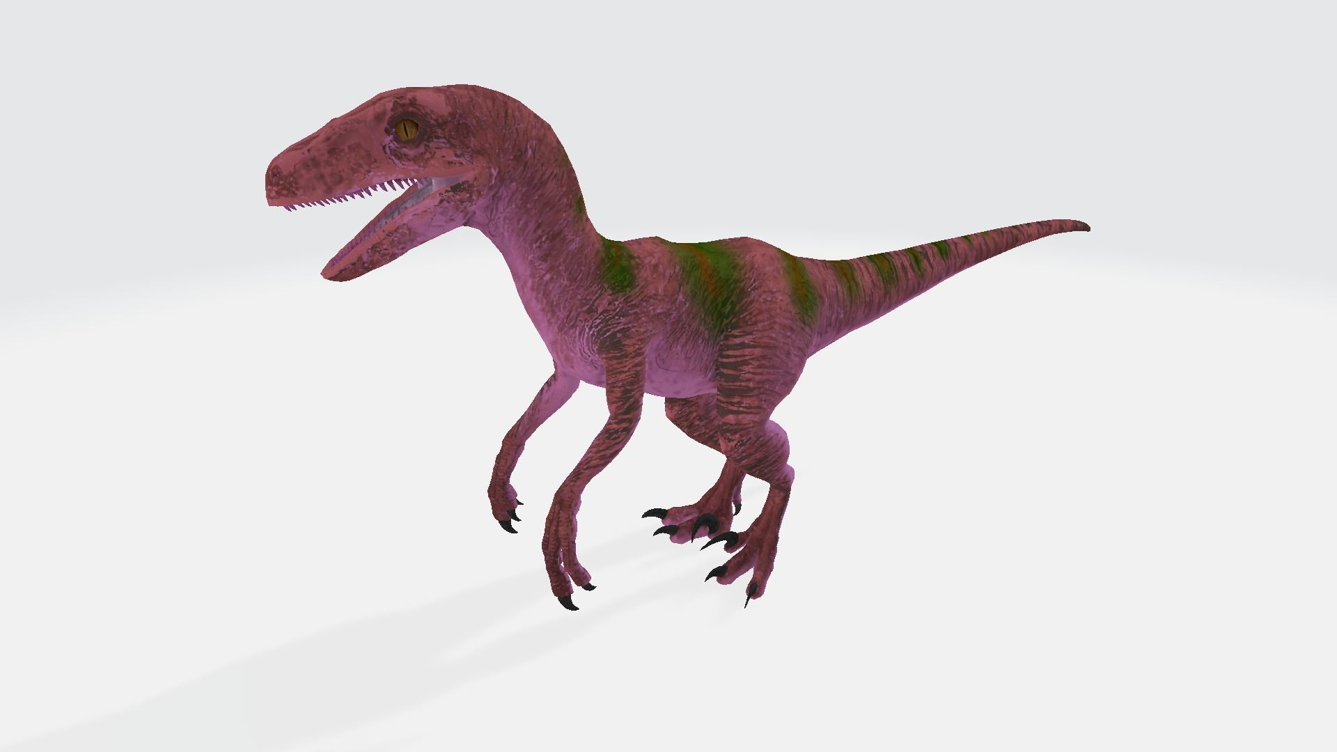 Megaraptor dinosaur 3D model_1