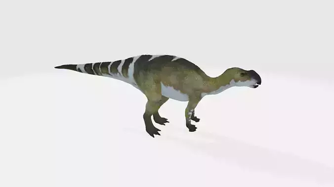 Muttaburrasaurus dinosaur