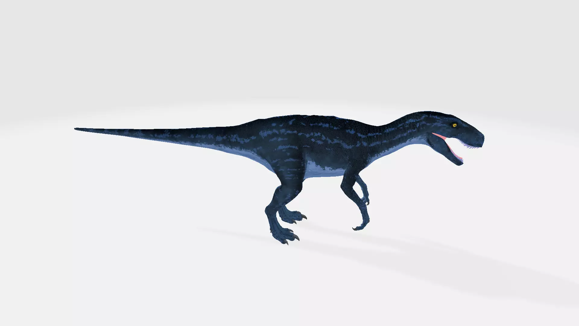 Nanotyrannus dinosaur 3D model_0