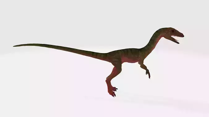 Eoraptor dinosaur