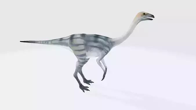 Ornithomimus dinosaur