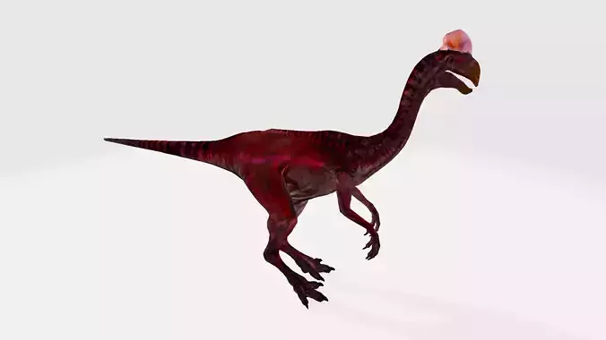 Oviraptor dinosaur