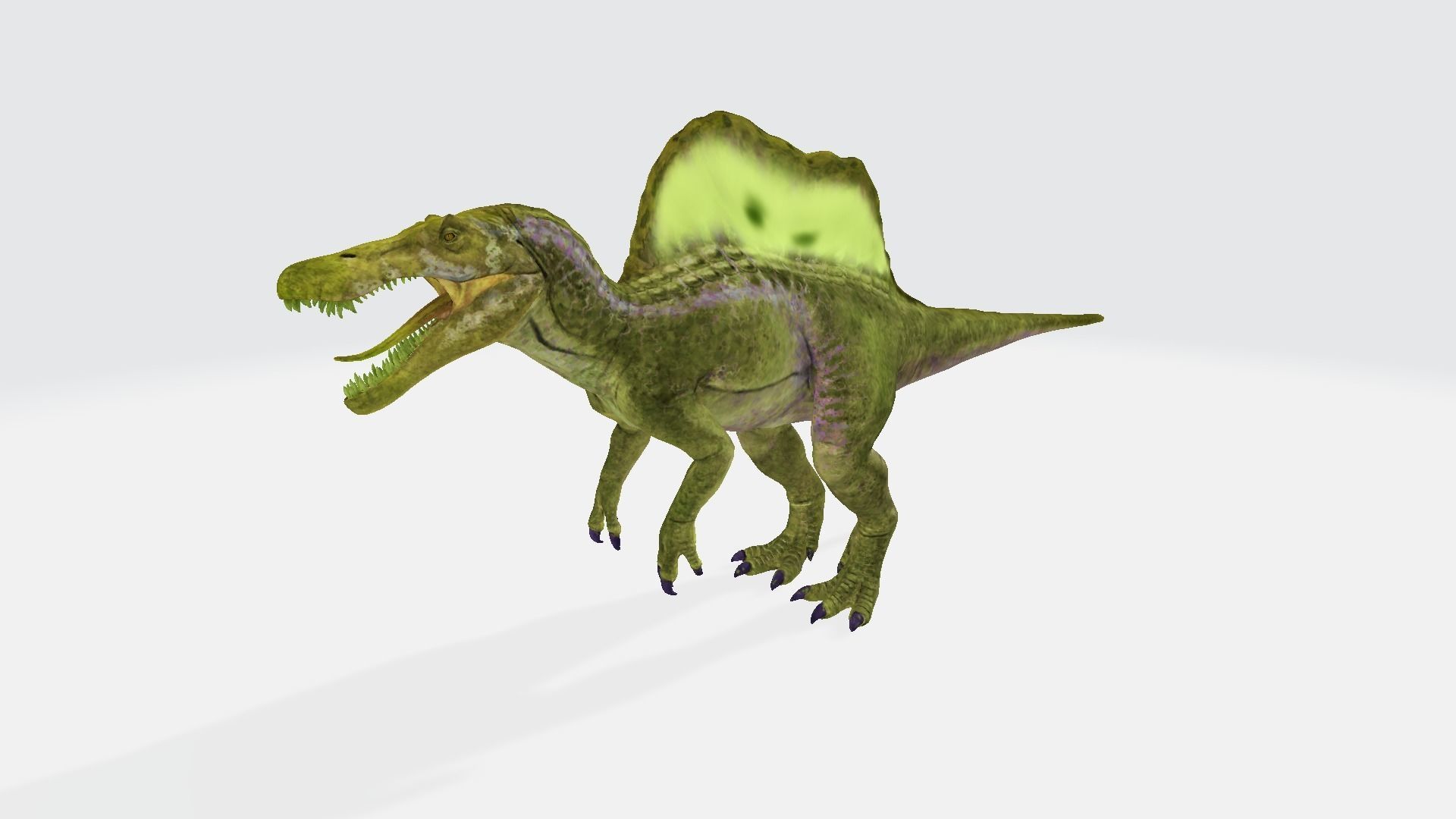 Oxalaia dinosaur 3D model_1