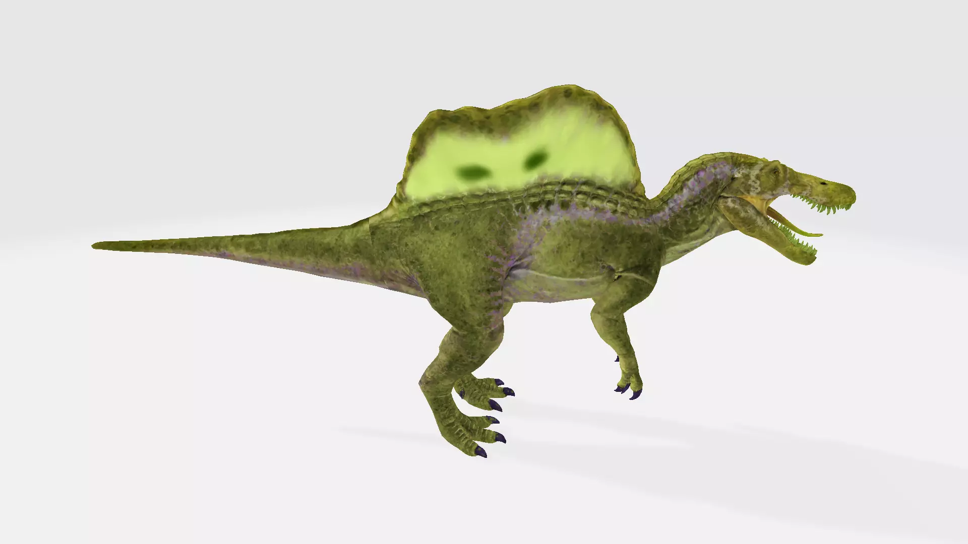 Oxalaia dinosaur 3D model_0