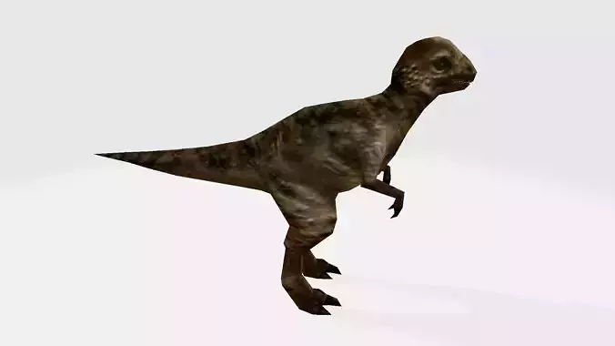 Pachycephalasaurus dinosaur