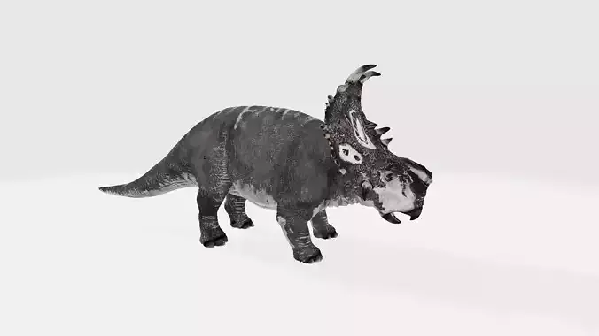 Pachyrhinosaurus triceratops dinosaur