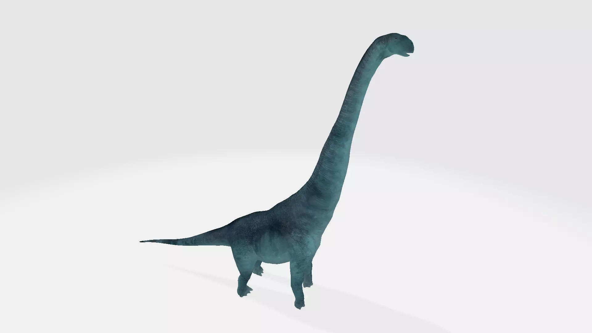 Paralititan dinosaur 3D model_0