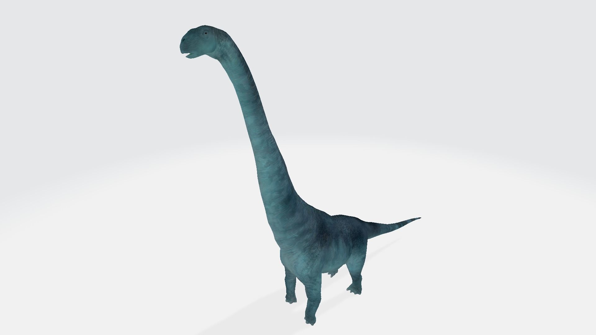 Paralititan dinosaur 3D model_1
