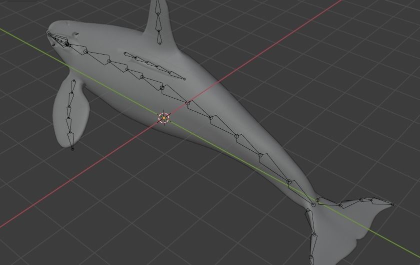 Killer Whale Orca Animated Low-poly 3D model_29