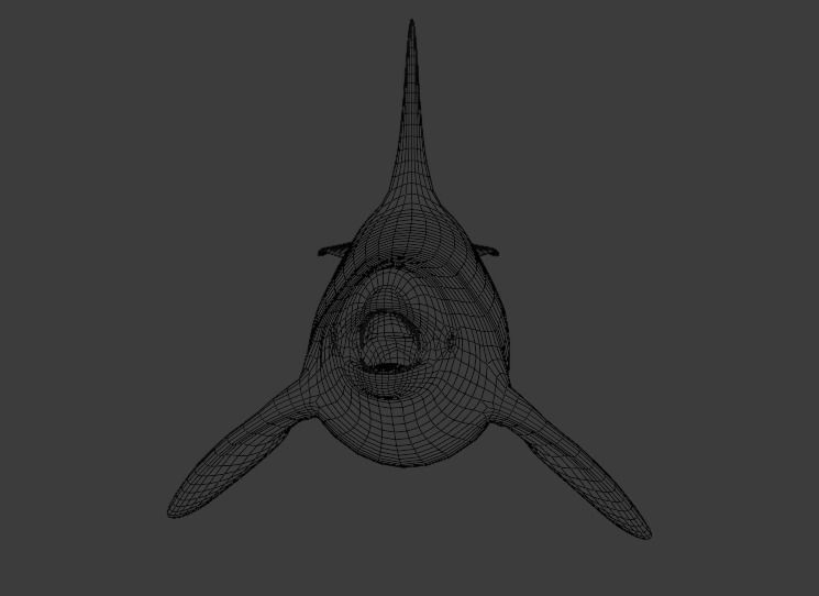 Killer Whale Orca Animated Low-poly 3D model_21