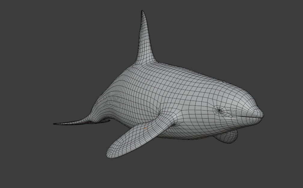 Killer Whale Orca Animated Low-poly 3D model_17