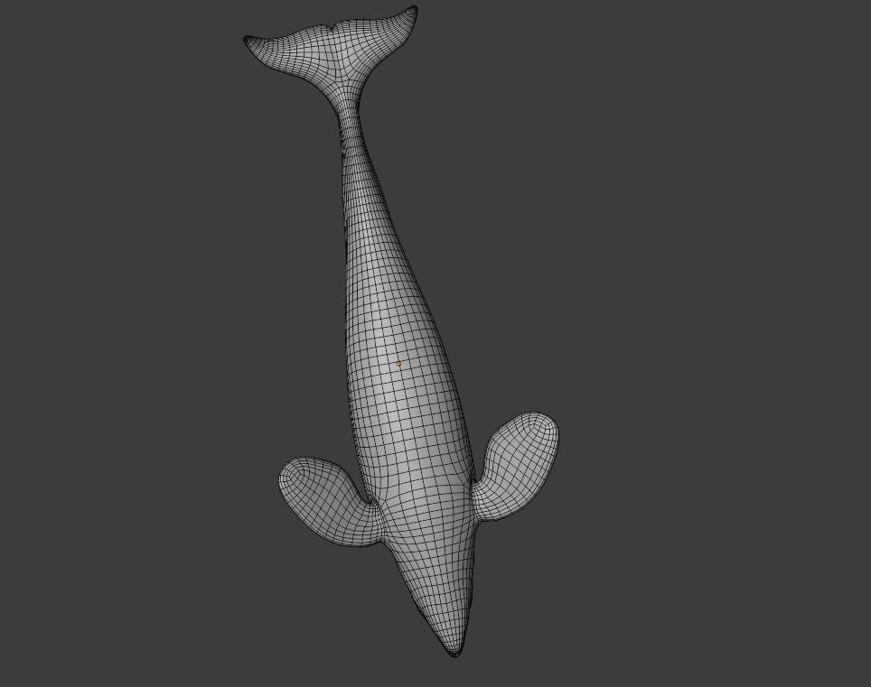 Killer Whale Orca Animated Low-poly 3D model_20